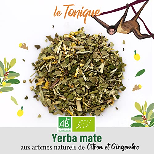 ORIGEENS Yerba Mate Bio Citron Gingembre 200g | Tonic Boisson Énergie et Detox | Yerba Mate Bio Non Torréfié Sans Poussi
